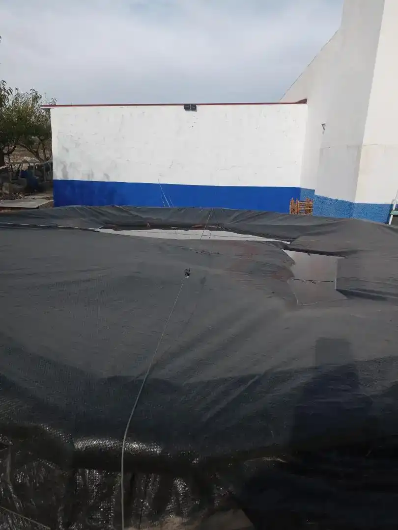 Piscina de Casa o chalet en venta en Almansa con Piscina