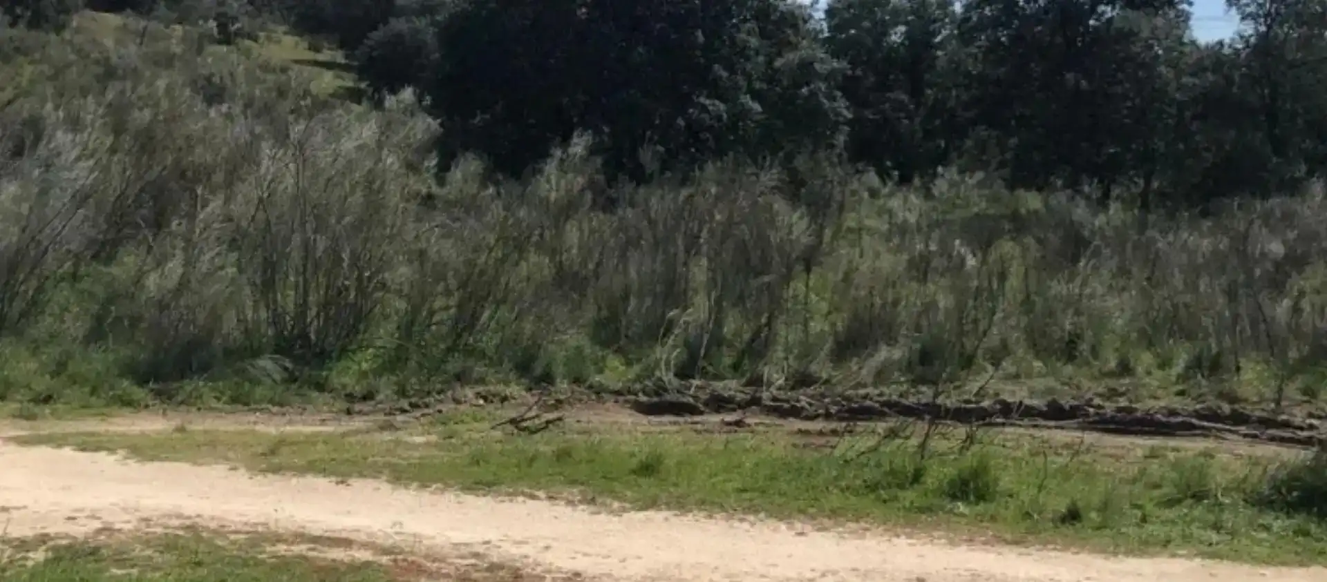 Finca rústica en venda en Las Rozas de Madrid