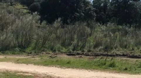 Foto 4 de Finca rústica en venda a M-505, 10, La Cañadilla, Las Rozas de Madrid