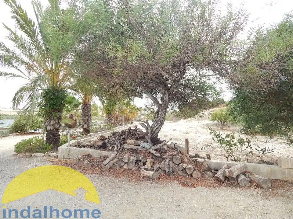 Vista exterior de Finca rústica en venta en Antas con Jardín privado, Terraza y Trastero