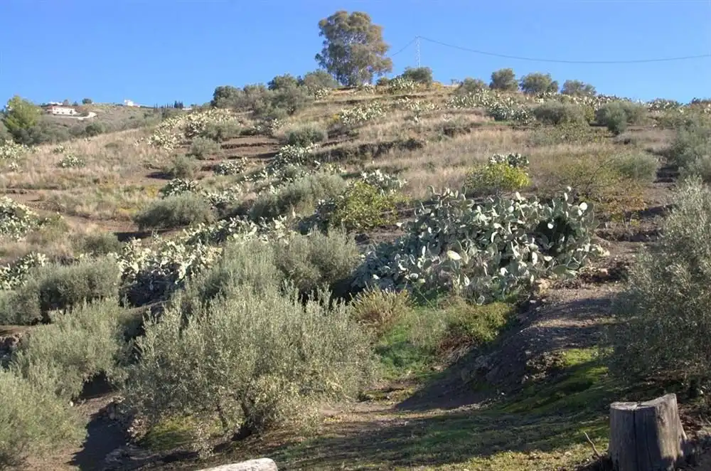 Casa en venda a Torrox Pueblo