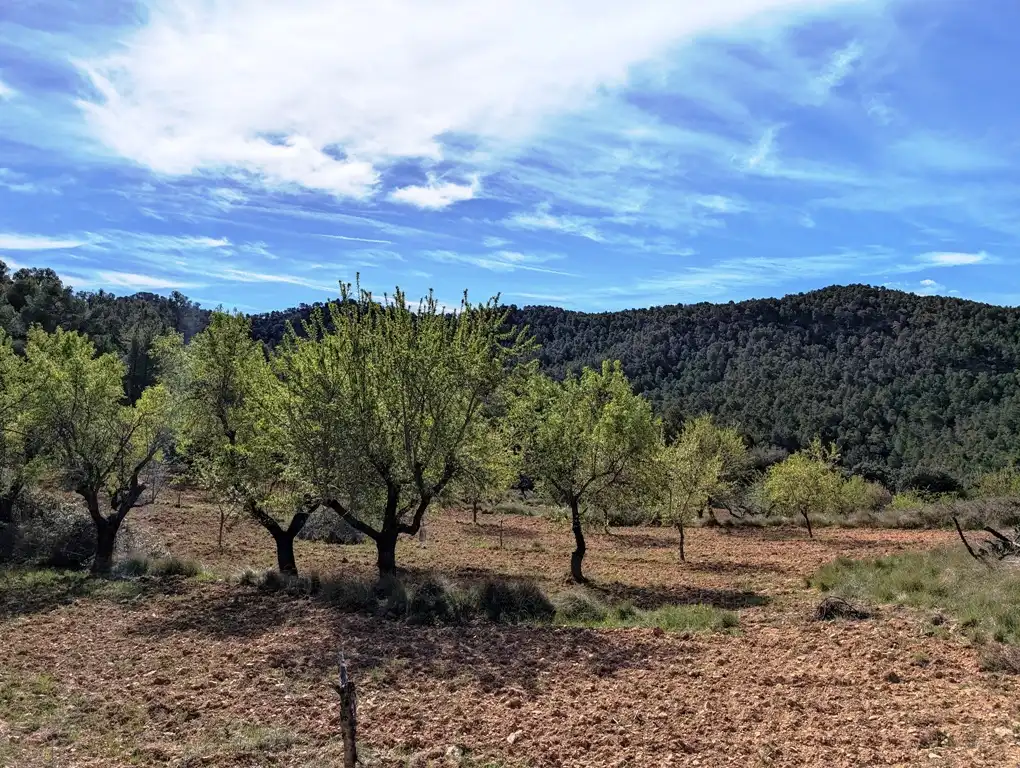 Terreni e lotti in vendita a Fuentespalda, imagen 13