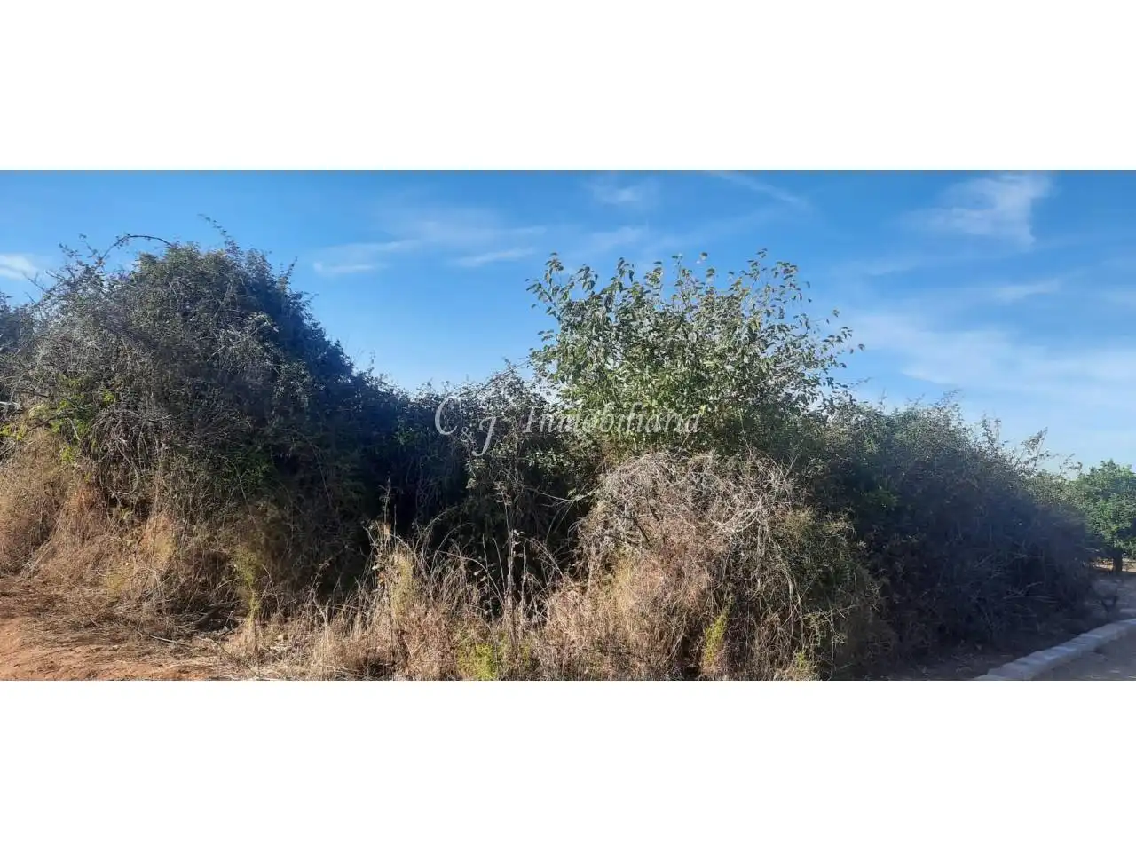 Terrain rustique à vendre à Puerto de Sagunto, imagen 7