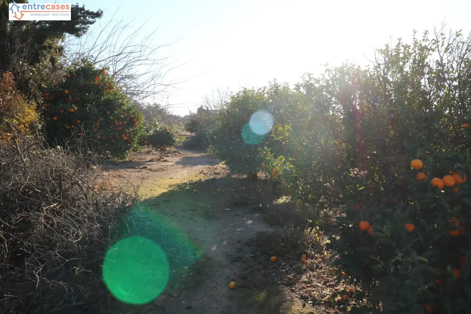 Rural land for sale in Canet d'En Berenguer, imagen 11
