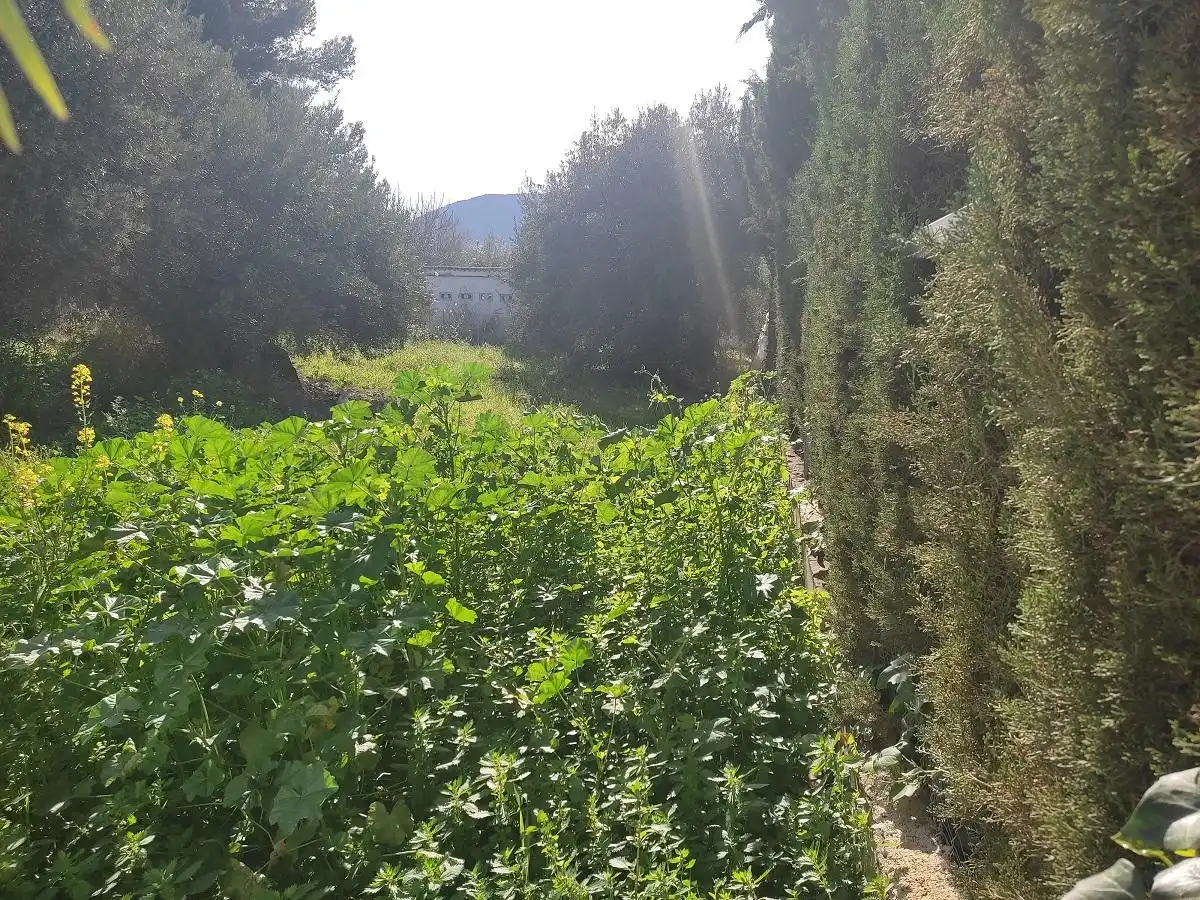 Terreni e lotti in vendita a Urbanización Puente de la Reina 23, imagen 6