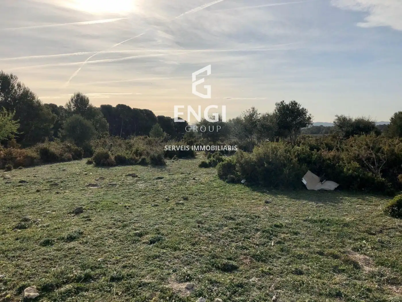 Terreno rustico in vendita a Gregal del, imagen 7
