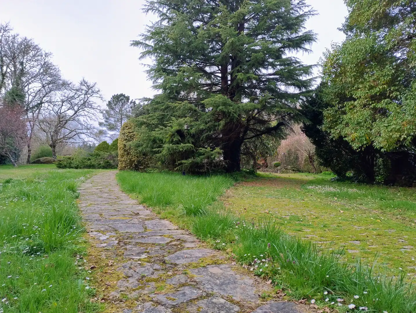 Jardín de Casa o chalet en venta en Lugo con Amueblado