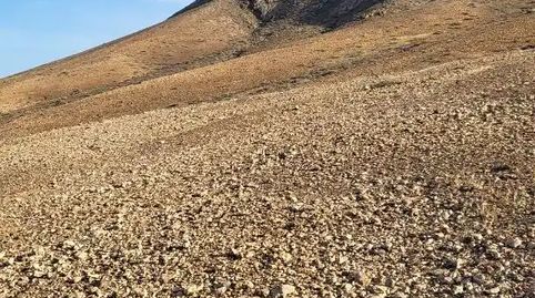 Photo 4 of Land for sale in Tesejerague, Tuineje