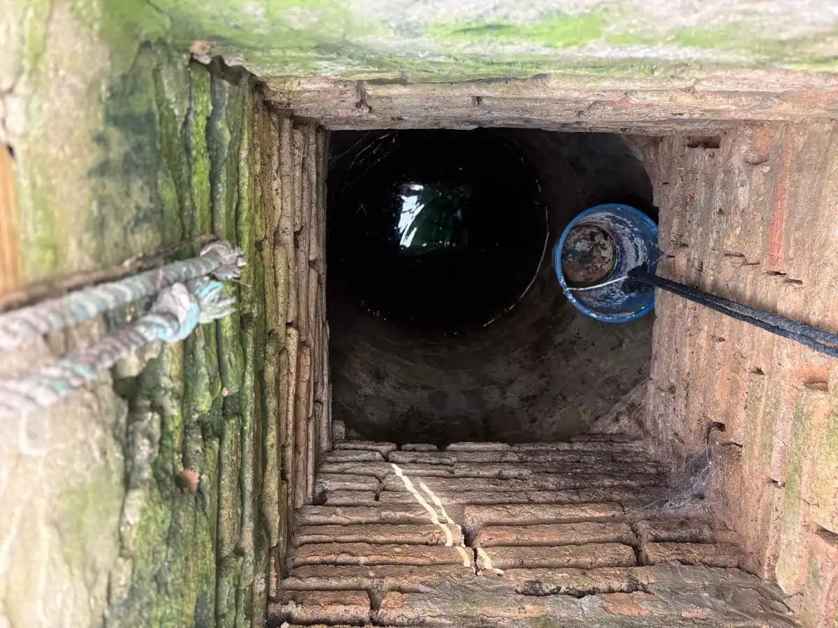 Finca rústica en venta en Bollullos Par del Condado