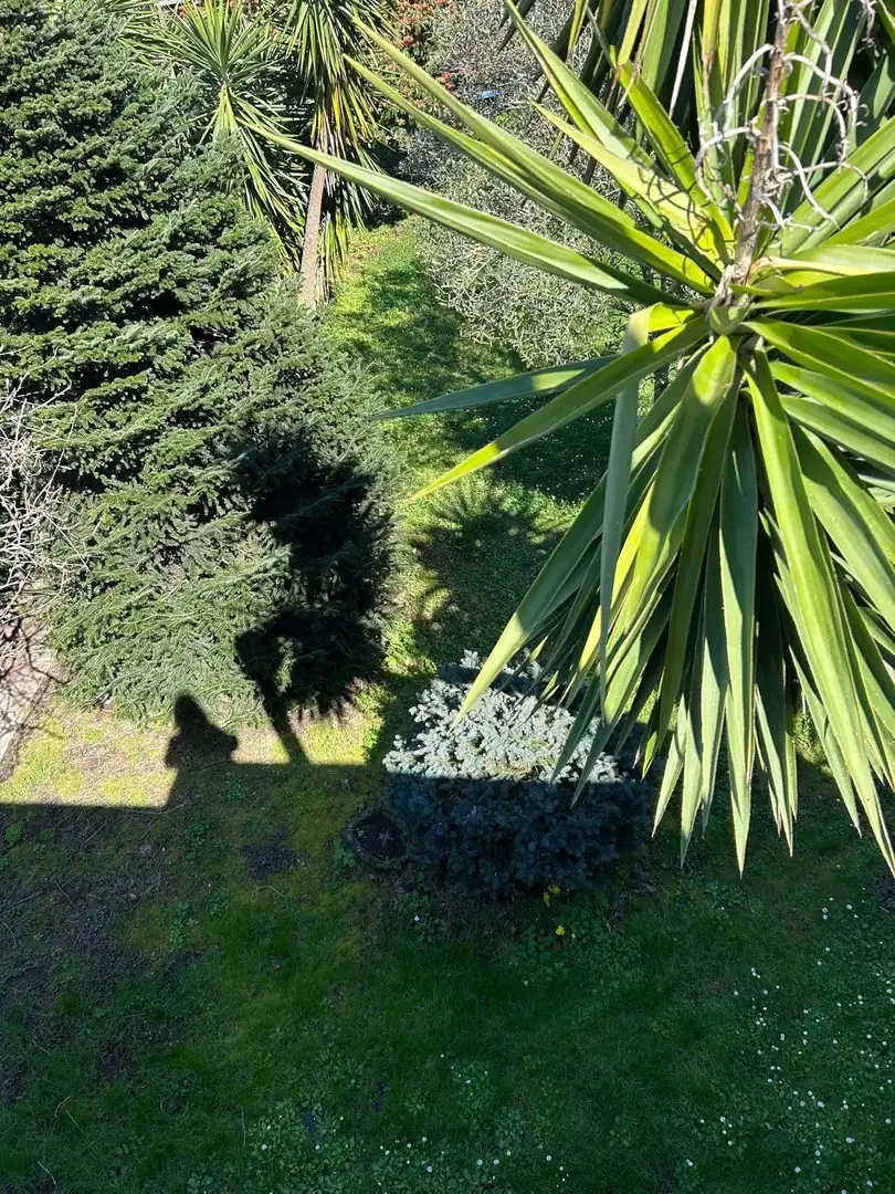 Jardí de Casa o xalet en venda en Boiro amb Calefacció, Terrassa i Traster
