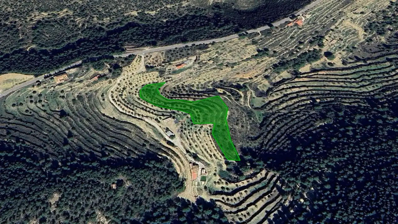 Rural land for sale in Lg Paraje Teix