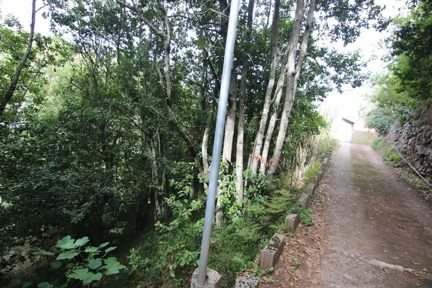 Vista exterior de Terreno en venta en Valleseco