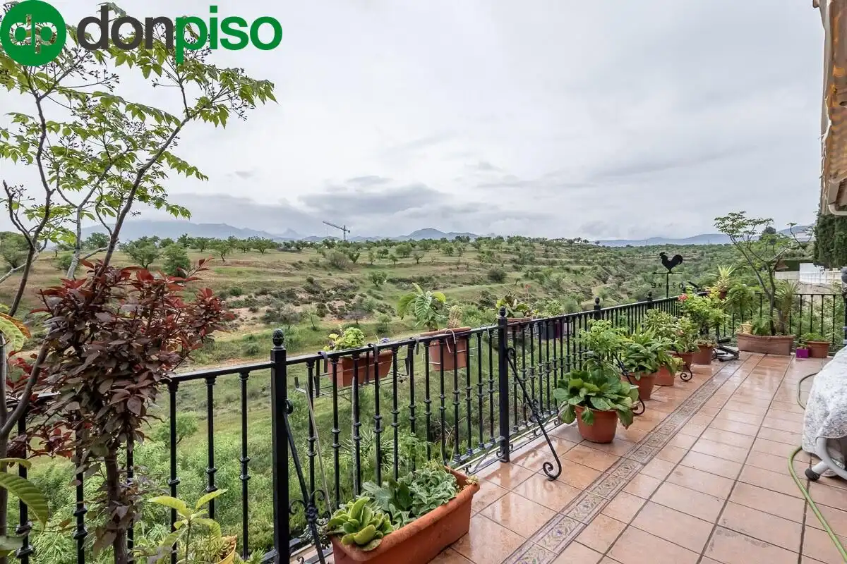 Villa mit Terrasse zum Verkauf in Calle Calle Sauce, imagen 40