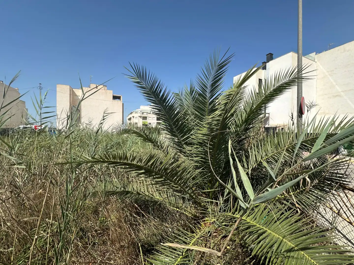 Terrenos y solares en venta en Formentera del Segura, imagen 5