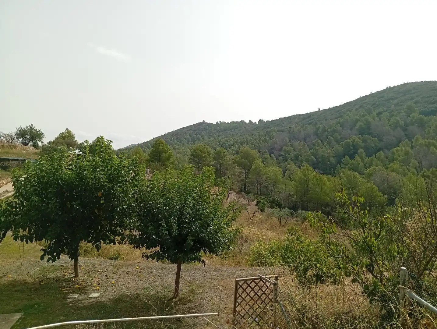 Maison avec jardin à vendre à Xaló, imagen 32