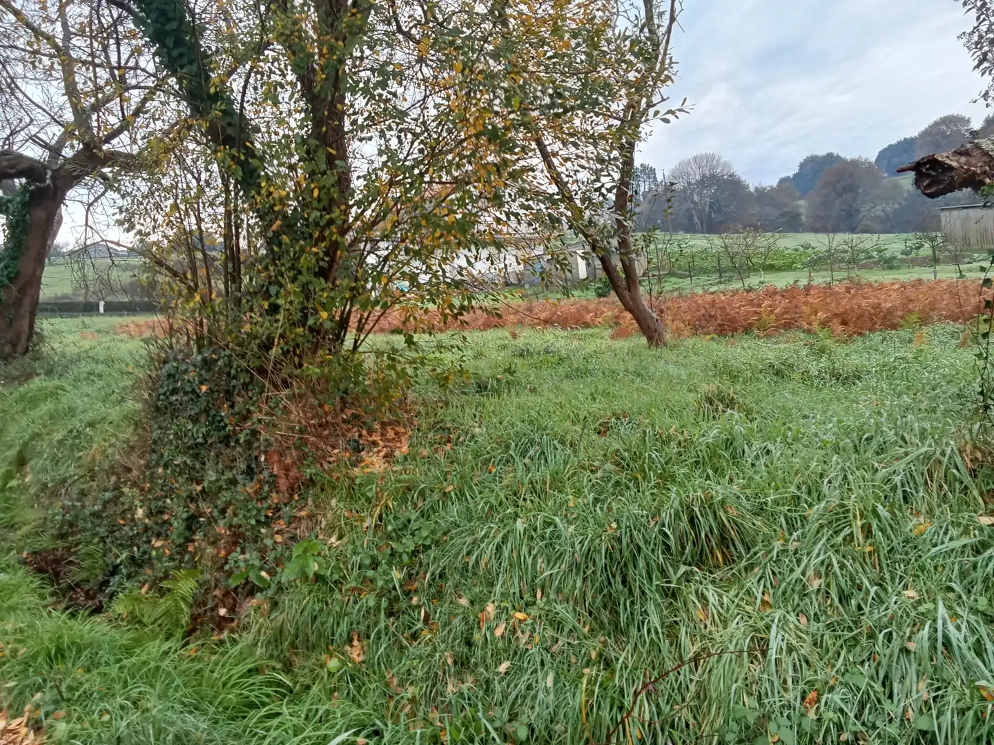 Terreni e lotti in vendita a Sedes - Pedroso - Doso, imagen 9