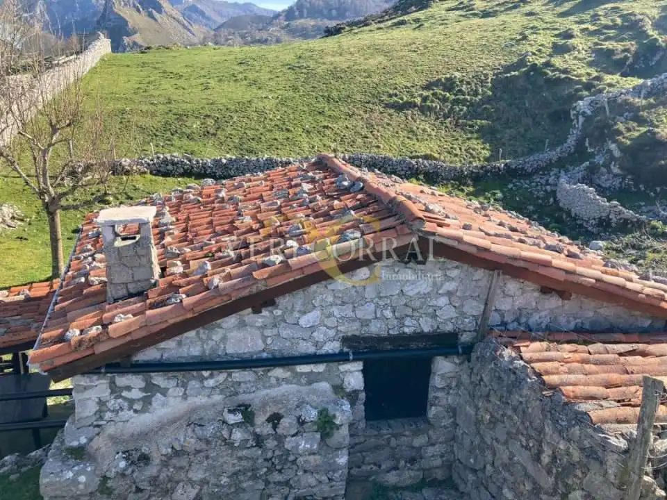 Casa o chalet en venta en Peñamellera Alta con Calefacción y Amueblado
