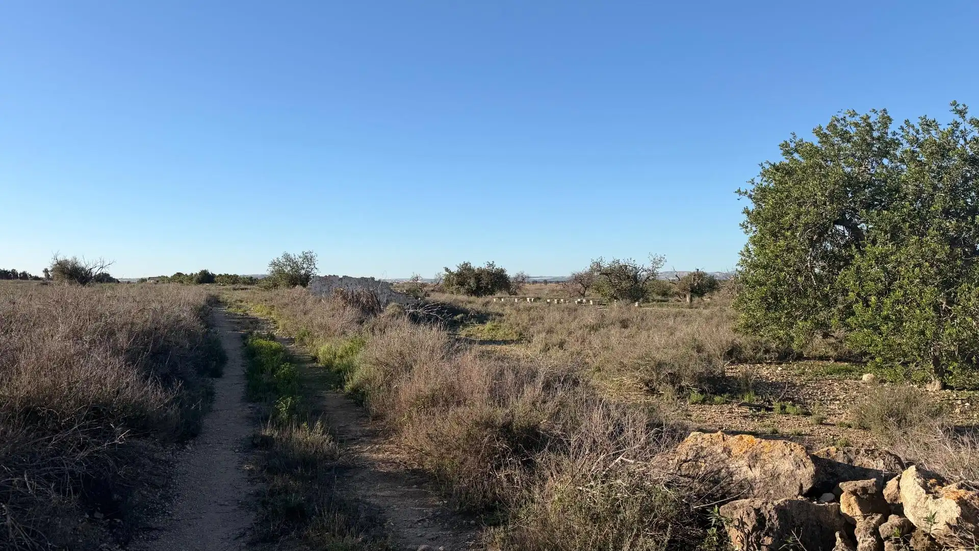 Terreno residencial en venta en La Marina, imagen 23