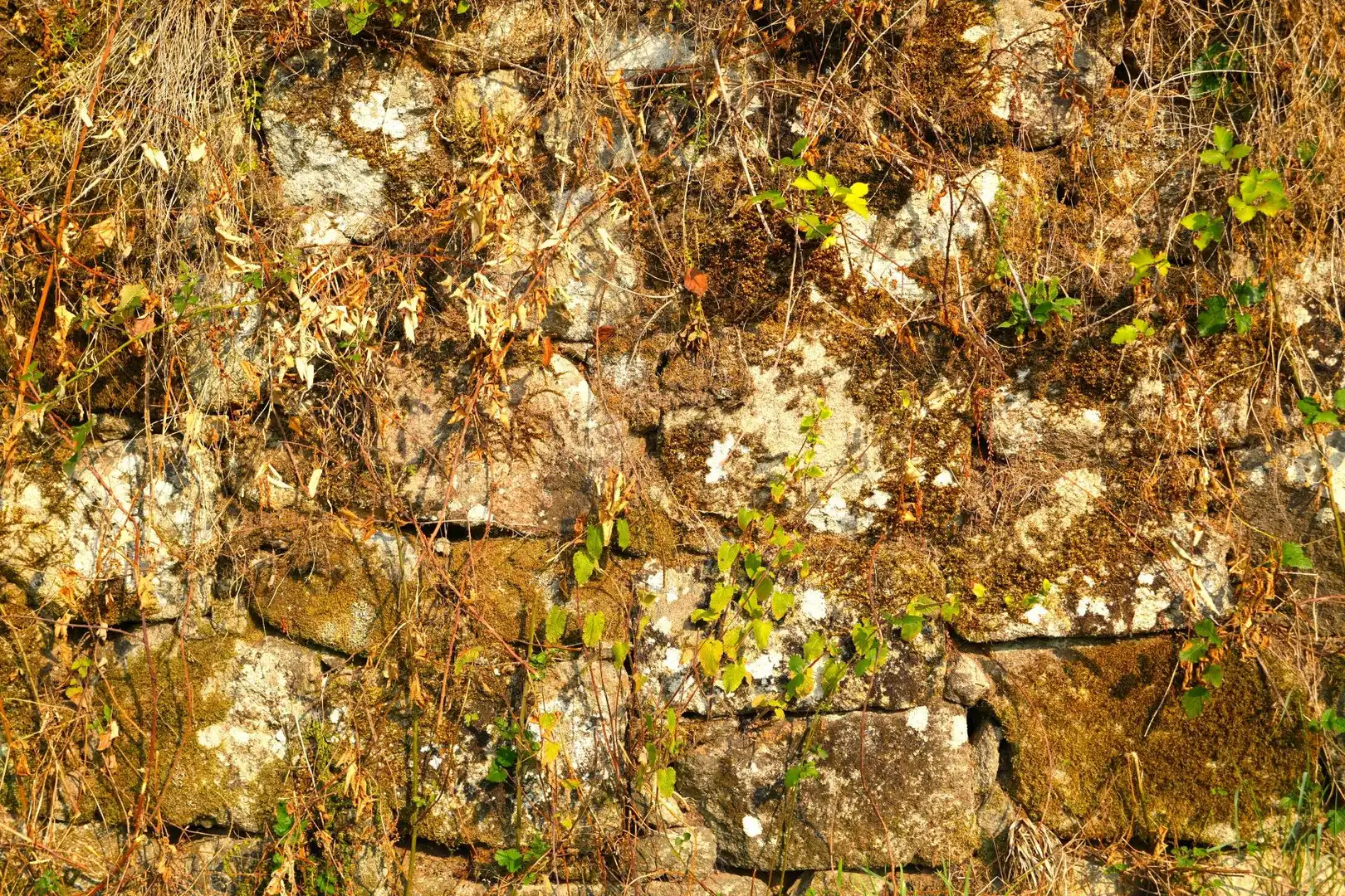 Lands and plots for sale in Lugar Estrada 521, imagen 12