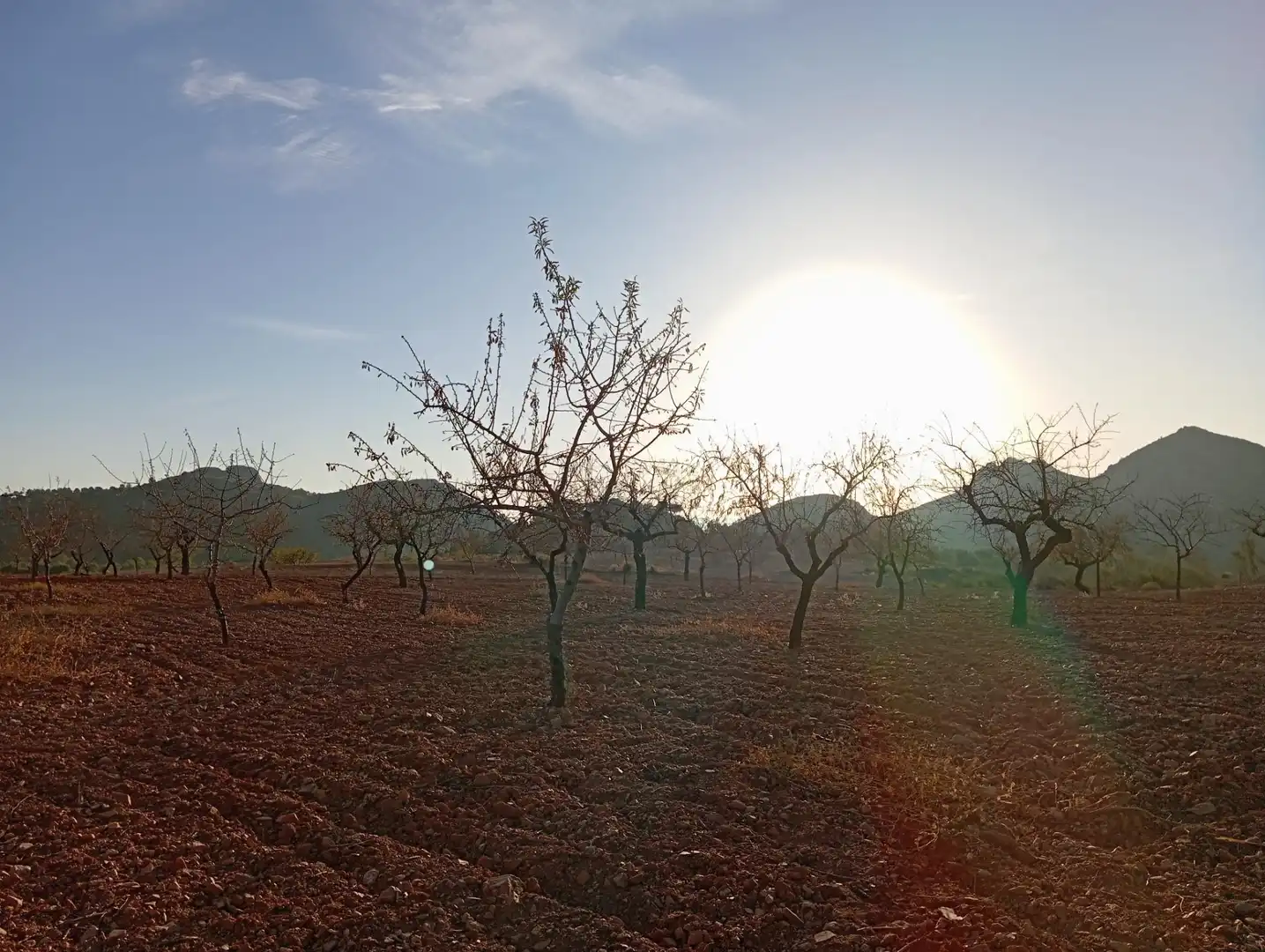 Houses for sale in Bejar