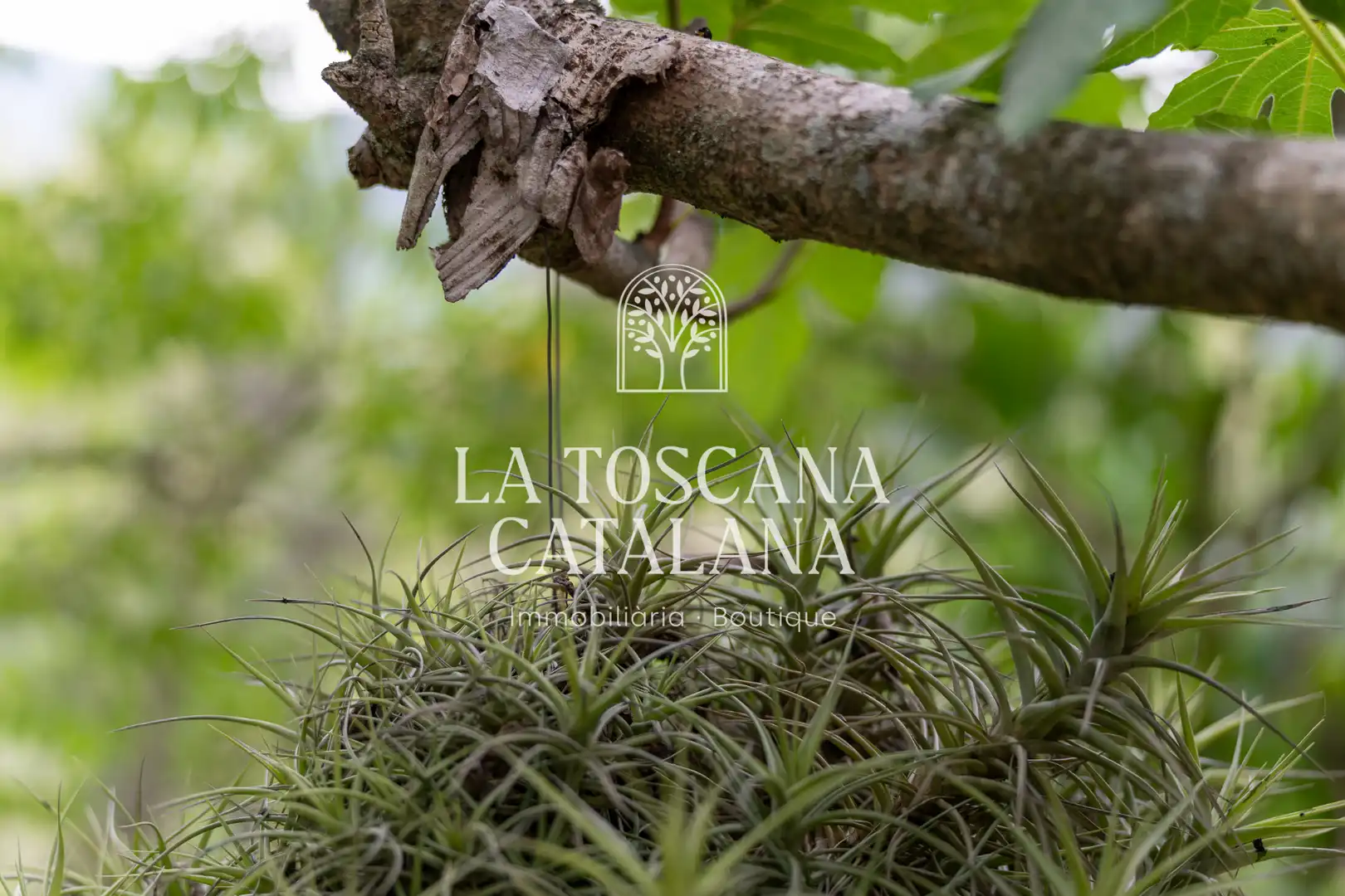 Finca rústica en venta en Sales de Llierca con Aire acondicionado, Calefacción y Jardín privado