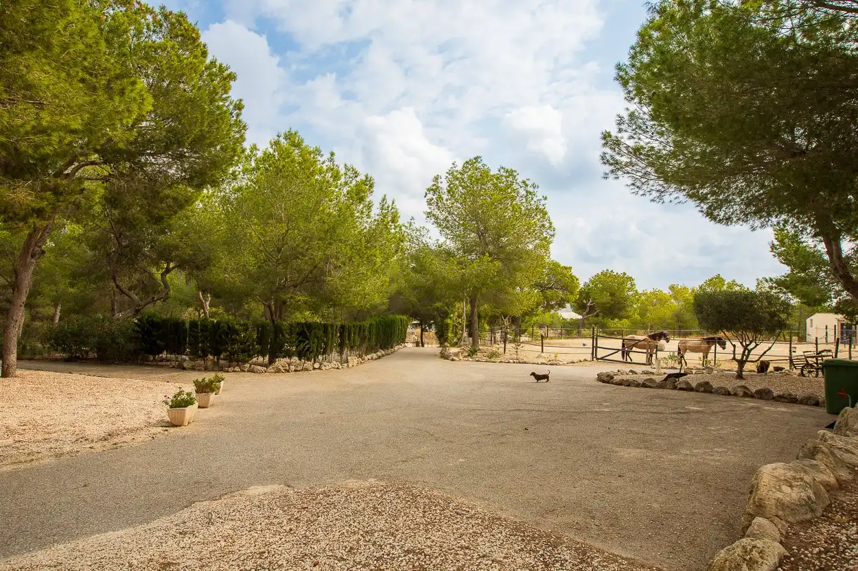 Maison rustique avec terrasse à vendre à Desamparados - Hurchillo - Torremendo, imagen 33