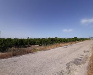 Land for sale in Alzira