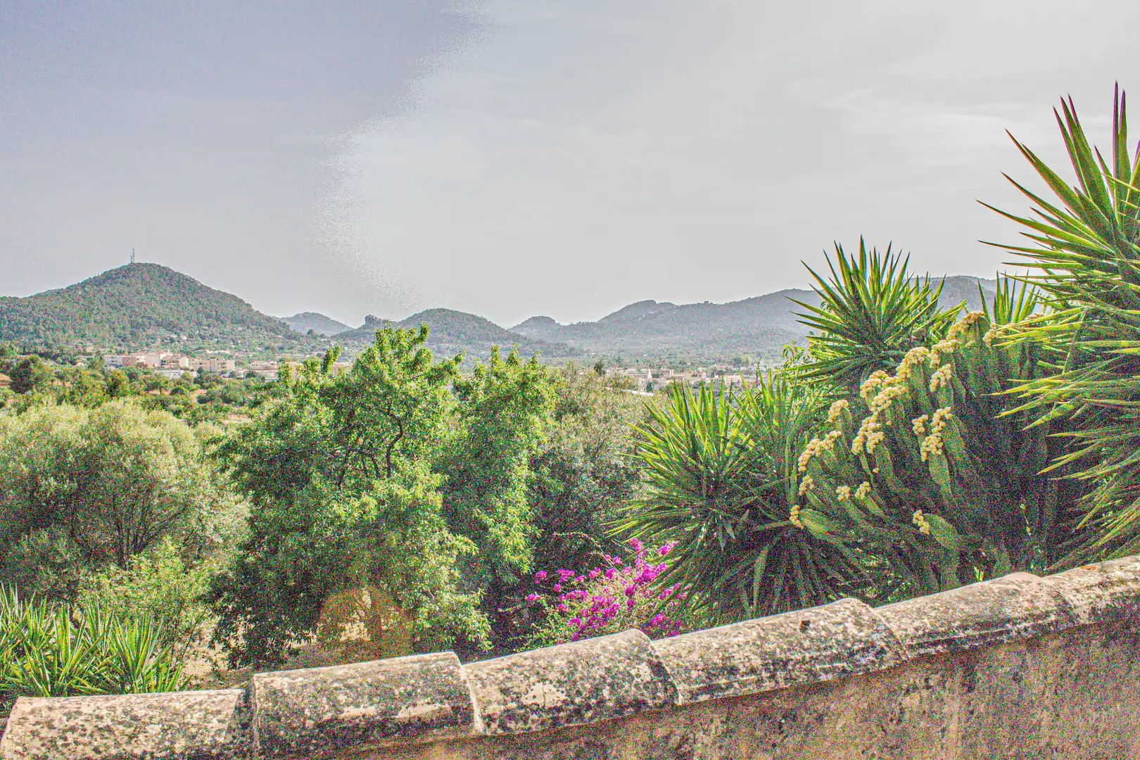 Garden of Country homes for sale in Andratx  with Air Conditioner, Heating and Terrace
