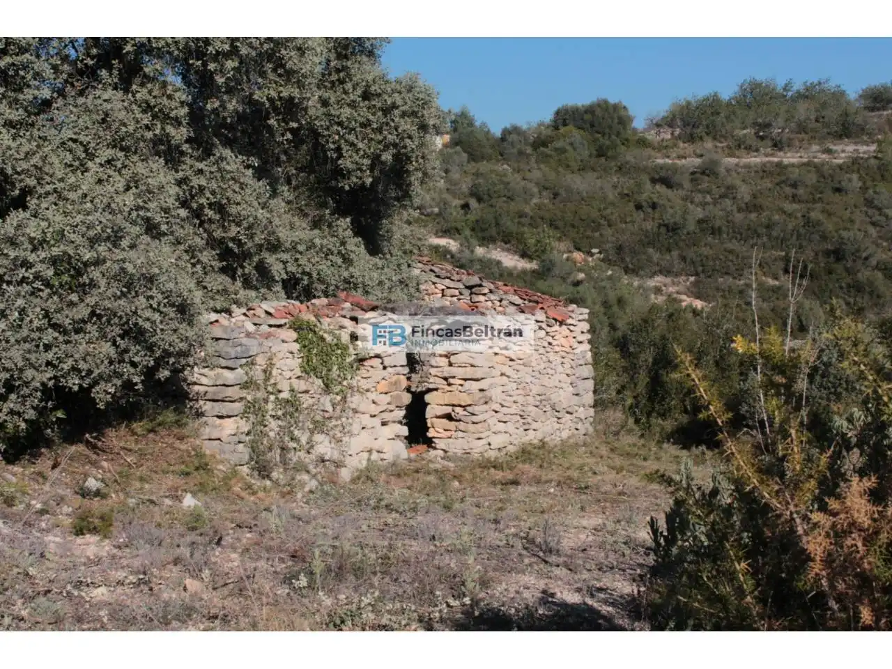 Rural land for sale in Poligono 36, parcela 240, imagen 2