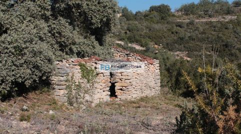 Finca rustica con pozo propio y magníficas vistas al mar, imatge 2