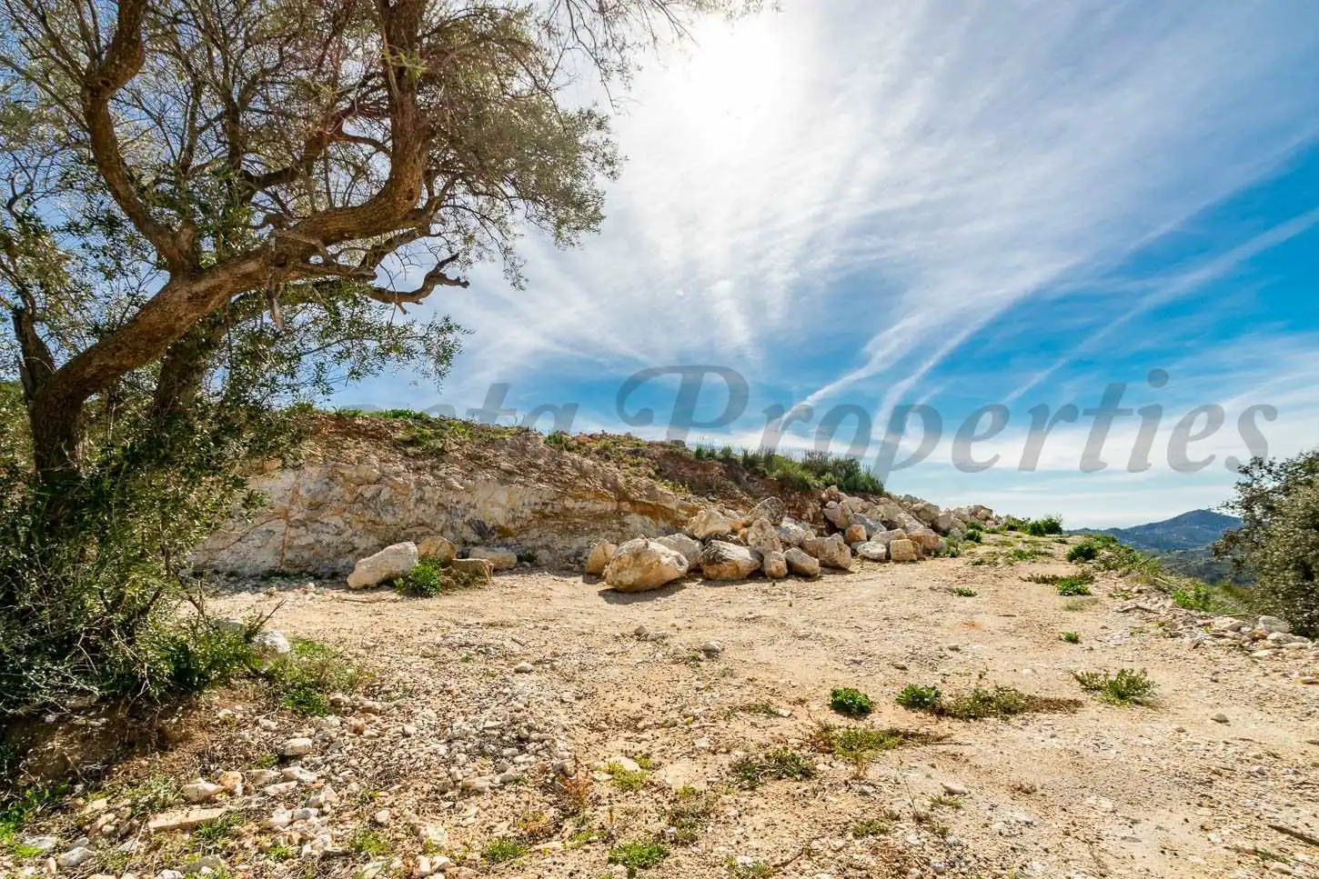 Terreny rústic en venda a Canillas de Albaida