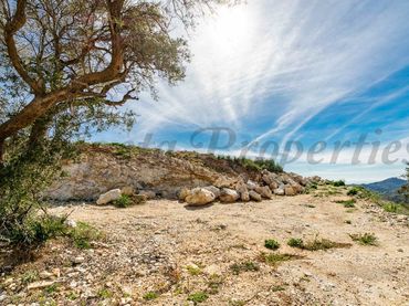 Terreny rústic en venda a Canillas de Albaida