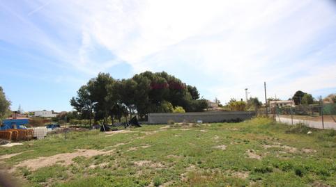 Foto 4 de Finca rústica en venda a Calle Calle Ponent, 70, La Huerta, Alicante