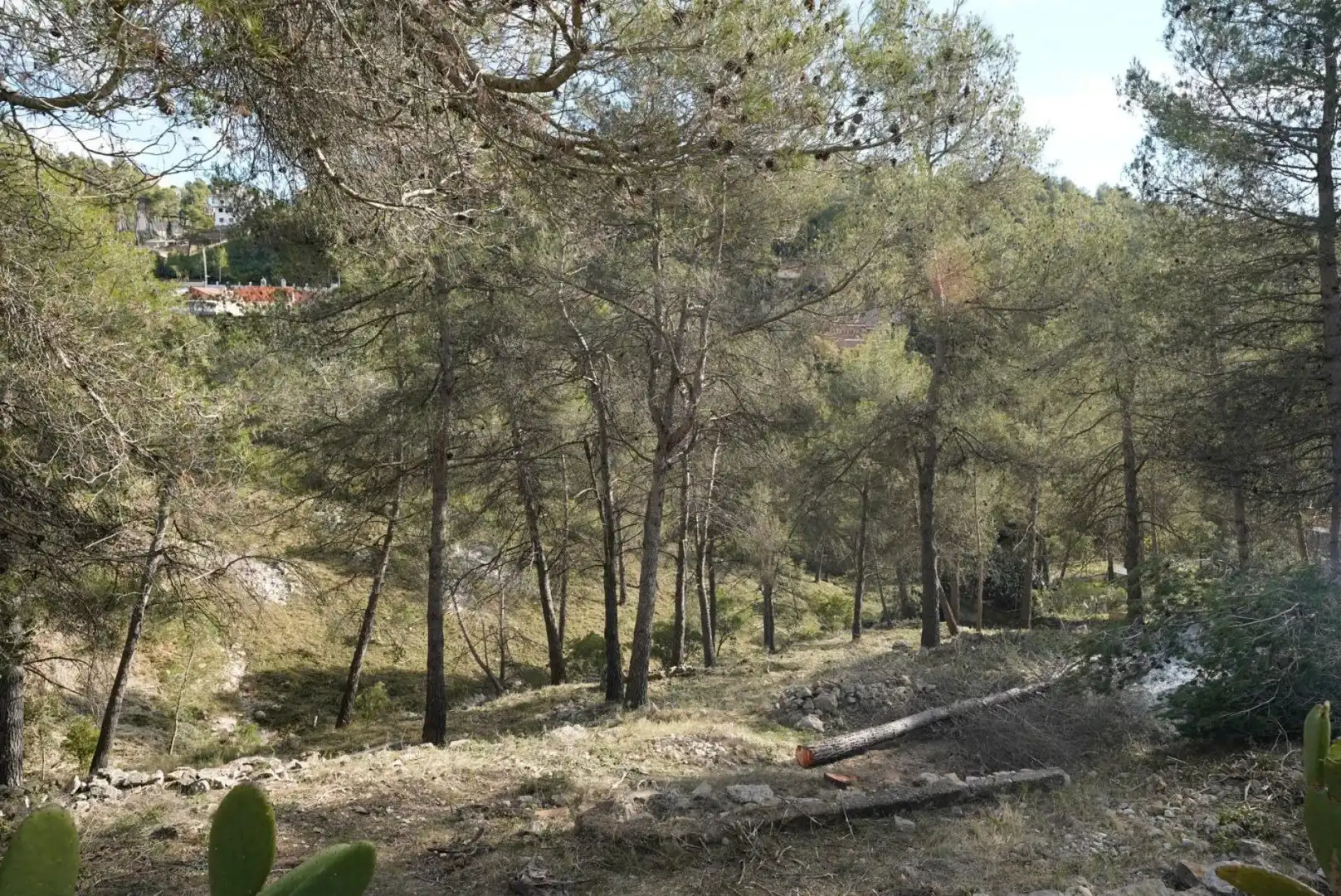 Terrenys i solars en venda a Olesa de Bonesvalls, imagen 18