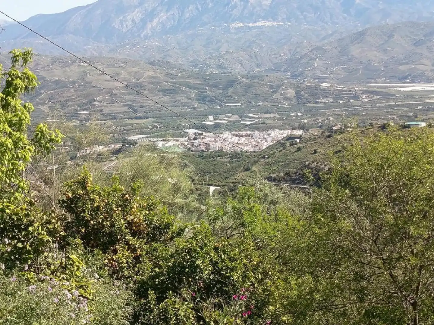 Vista exterior de Casa o xalet en venda en Iznate amb Jardí privat, Terrassa i Traster