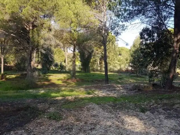 Terrenys i solars en venda a LA TROMPETA PARCELA 123, imagen 2