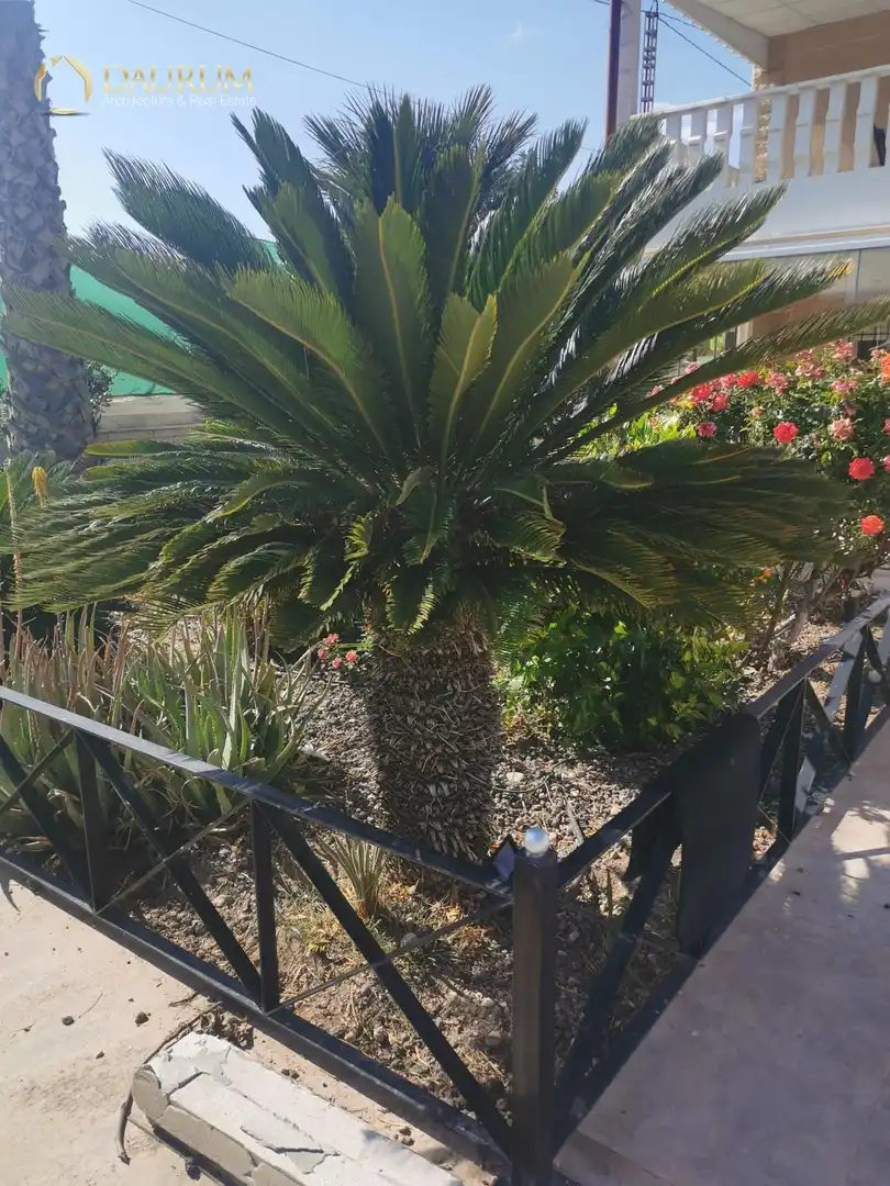 Jardín de Casa o chalet en venta en Novelda con Aire acondicionado, Terraza y Trastero