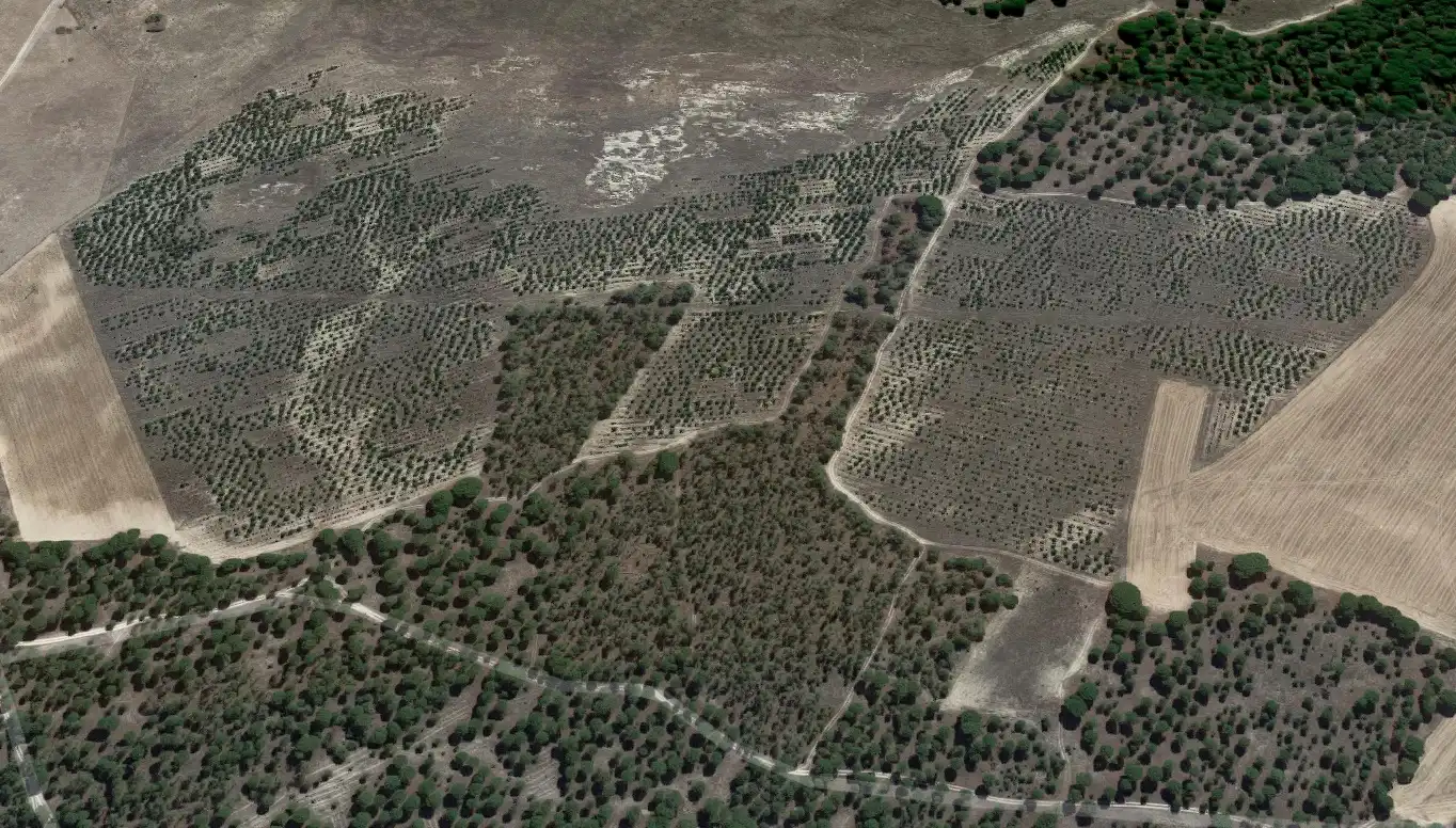 Rustikales Grundstück zum Verkauf in Paraje Aceras, imagen 3