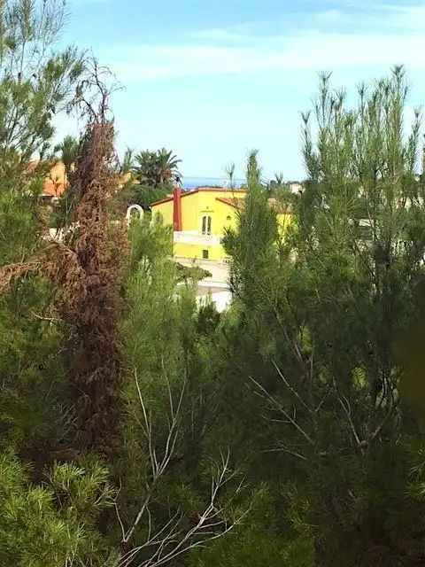 Casa in vendita a La Pedrera - Vessanes, imagen 11