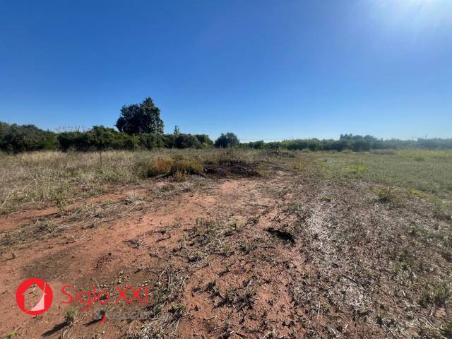 Terreno residencial en Venta en Cariñena - Carinyena