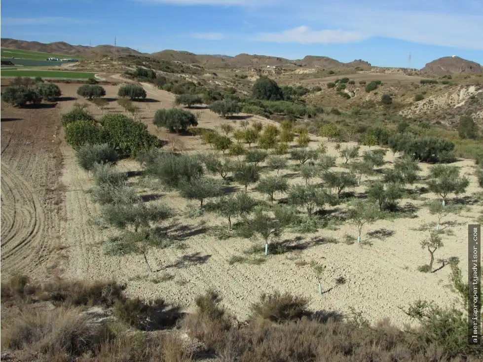 Country homes for sale in Antas