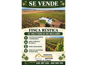 Terreno rustico in vendita a Fuente el Fresno