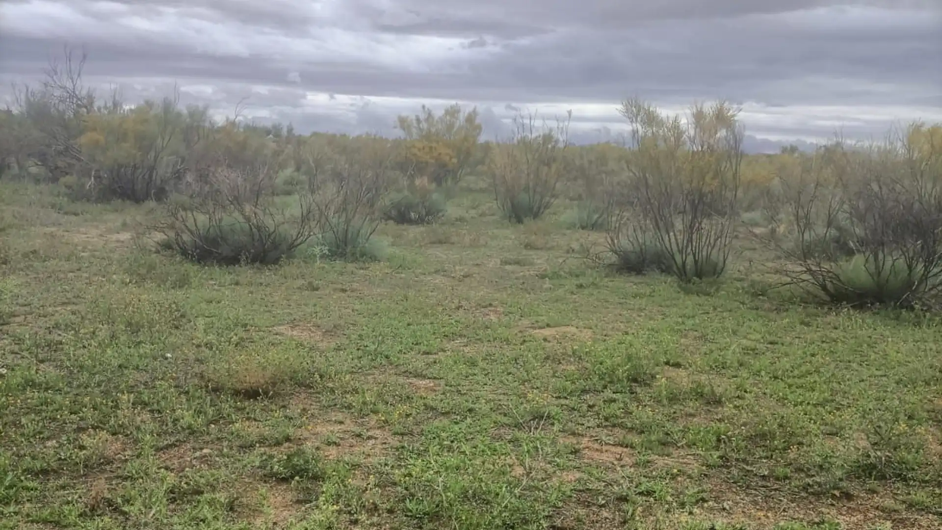Terreno en venta en Almonacid de Toledo