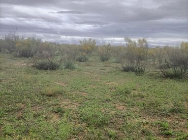 Terreny rústic en venda a Almonacid de Toledo