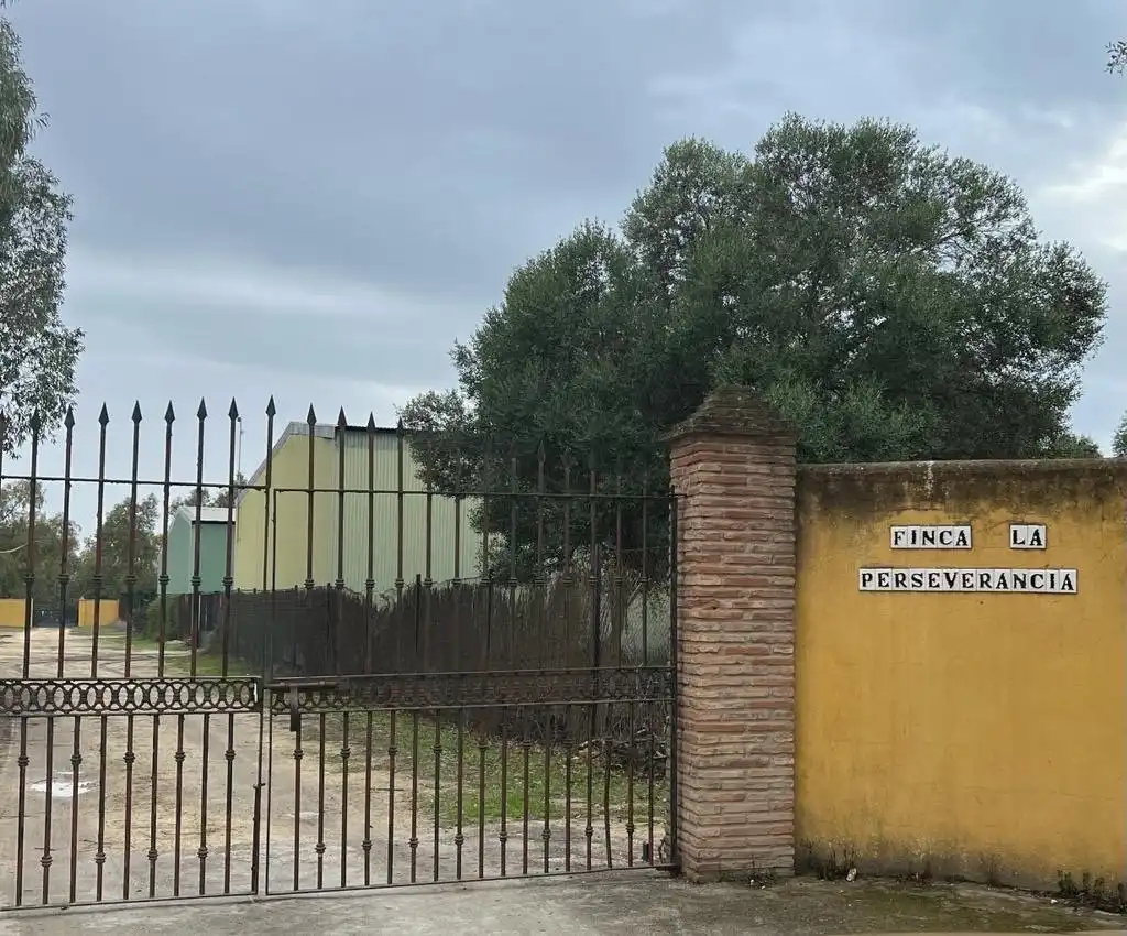 Casa rústica en venda a Benalup-Casas Viejas, imagen 15