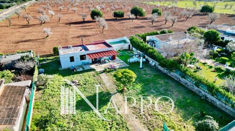 Photo 3 of House or chalet for sale in Es Garrovers, Marratxí