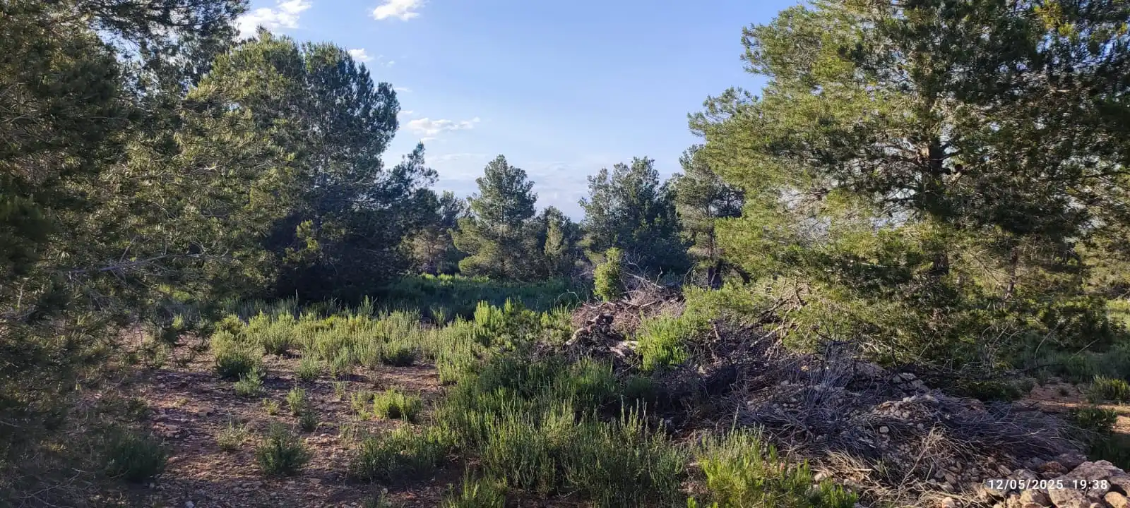Rural land for sale in Urbanització Blasques 23 10, imagen 14