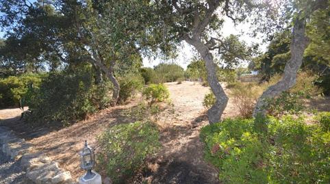 Foto 2 de Finca rústica en venta en Pago del Humo, 1, Pelagatos - Pago del Humo, Cádiz