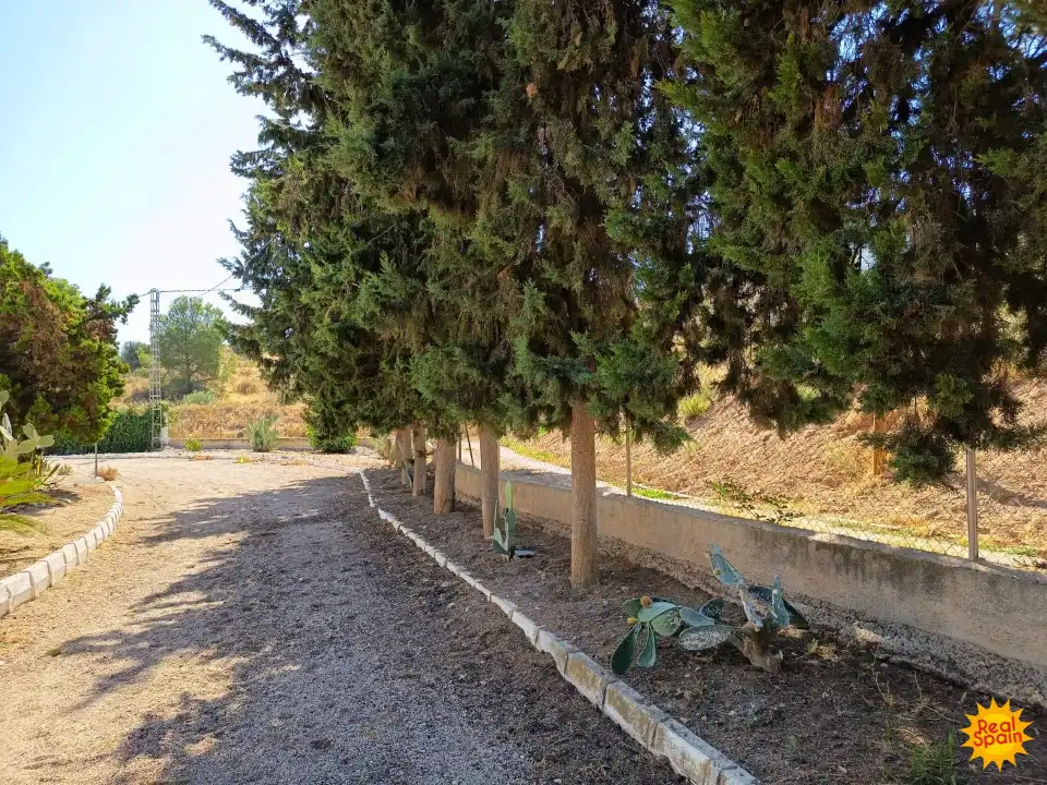 Jardí de Finca rústica en venda en Lorca amb Piscina i Balcó