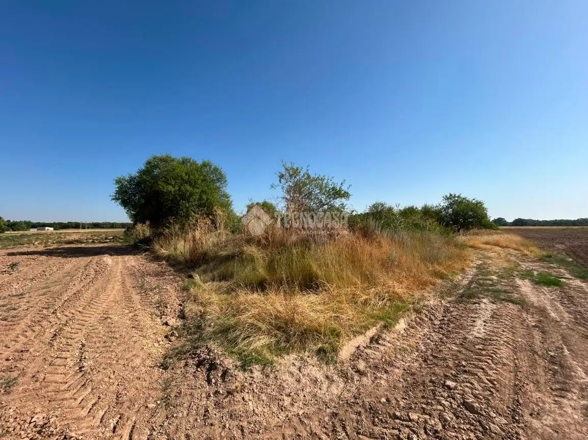 Rural land for sale in Laguna de Duero, imagen 6